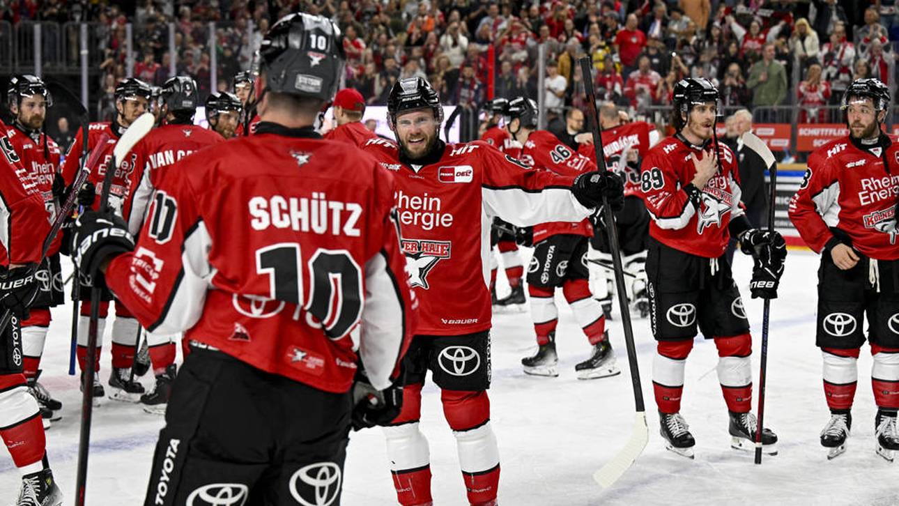 DEL-Titel? Haie senden Kampfansage