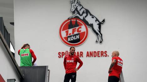 Der 1. FC Köln hat zwei neue Coronafälle in der Mannschaft