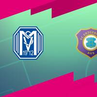 SV Meppen - FC Erzgebirge Aue: Tore und Highlights | 3. Liga