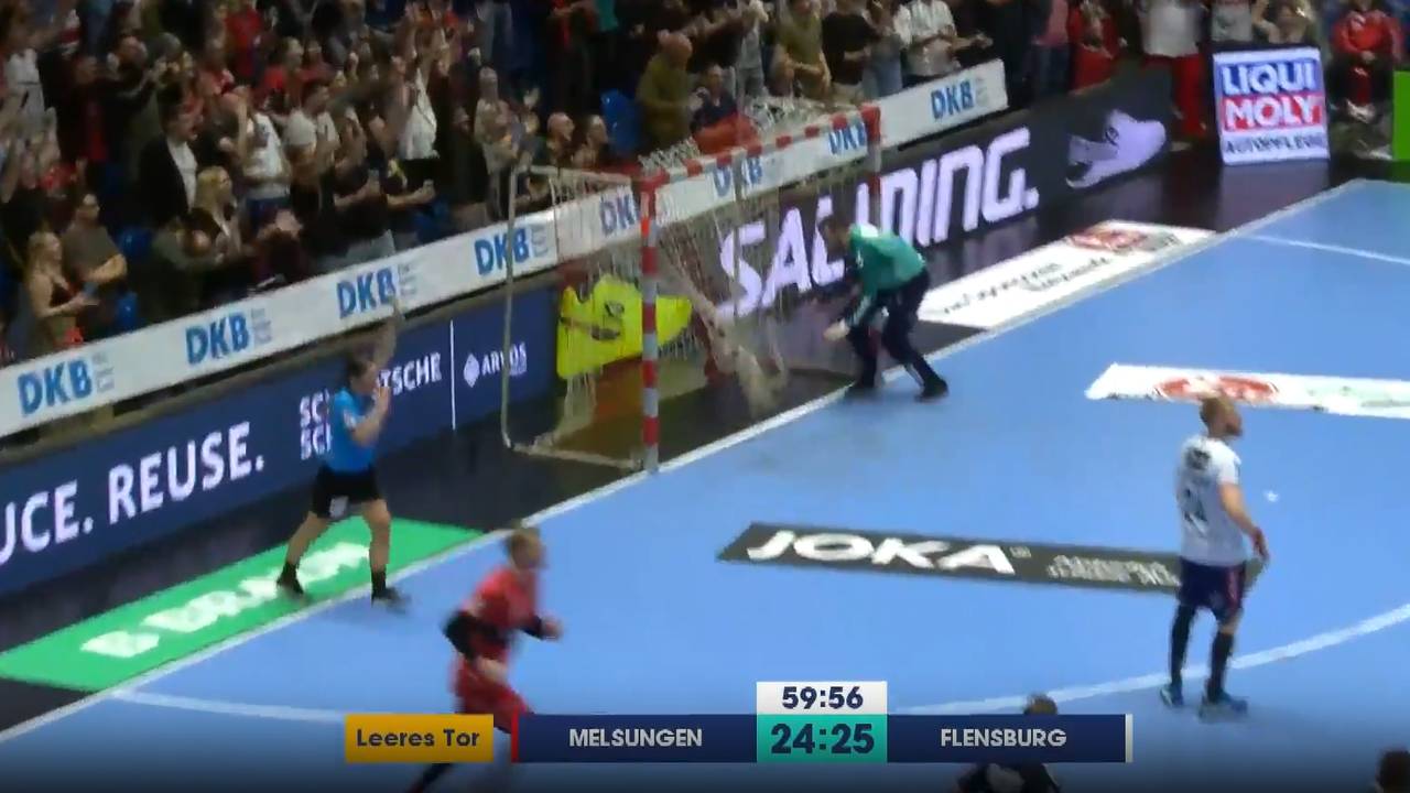 MT Melsungen - SG Flensburg-Handewitt | HBL-Highlights im Video