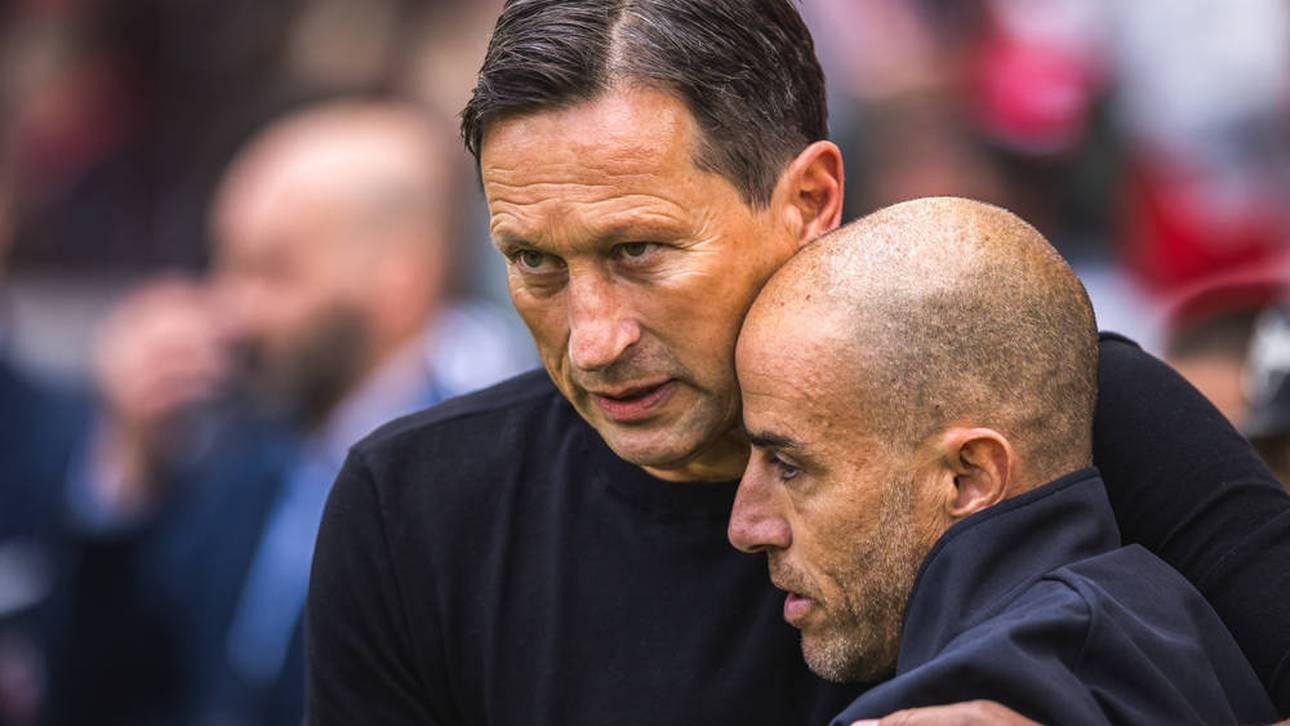 Münchner Trainersuche: Schmidt winkt ab