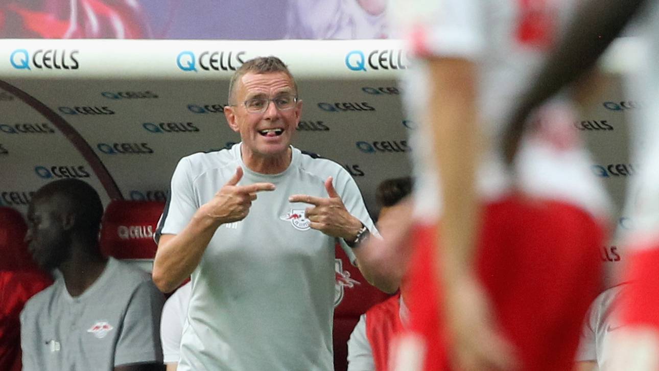 Rangnicks Appell an Hoeneß