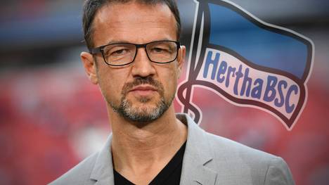 Fredi Bobic hat seine Rückkehr zu Hertha BSC öffentlich nicht ausgeschlossen. Was könnte Bobic in der Hauptstadt wollen?