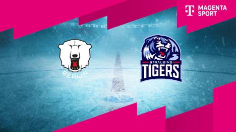 Eisbären Berlin - Straubing Tigers: Tore und Highlights | PENNY DEL