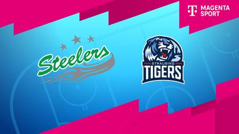 Bietigheim Steelers - Straubing Tigers: Tore und Highlights | PENNY DEL