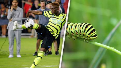 Das neue Jersey des FC Arsenal spaltet die Geschmäcker. Der Großteil der Community findet deutliche Worte. 