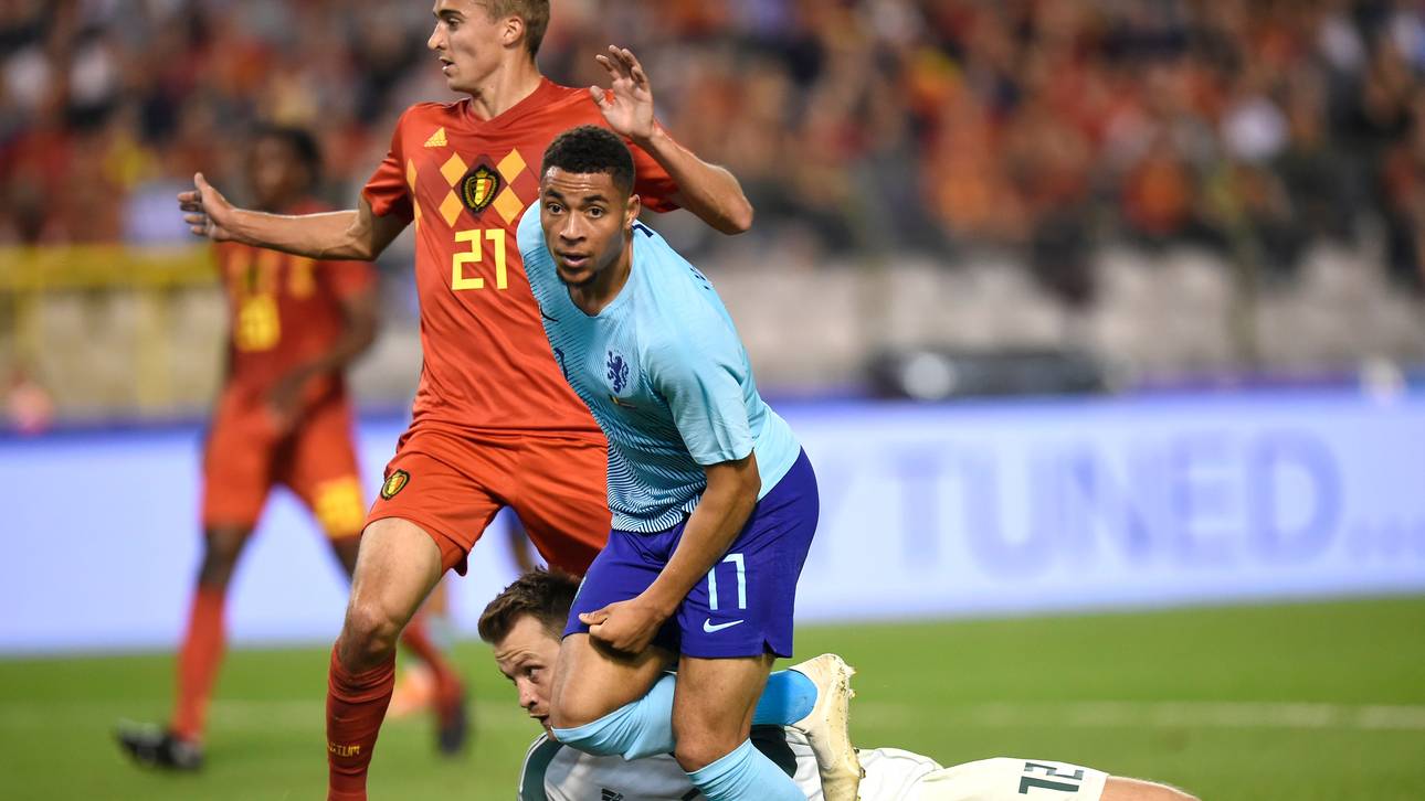 Niederlande überzeugen in Belgien