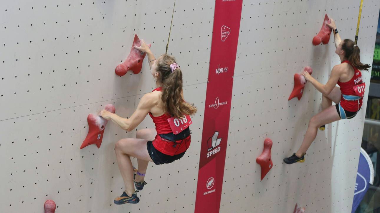 DAV richtet sich neu aus