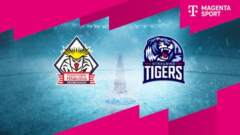 Pinguins Bremerhaven - Straubing Tigers: Tore und Highlights | PENNY DEL