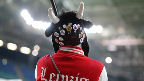 RB Leipzig: Ralf Rangnick spricht über Beziehung zu RB-Fans, Die Fans von RB Leipzig fühlen sich missverstanden