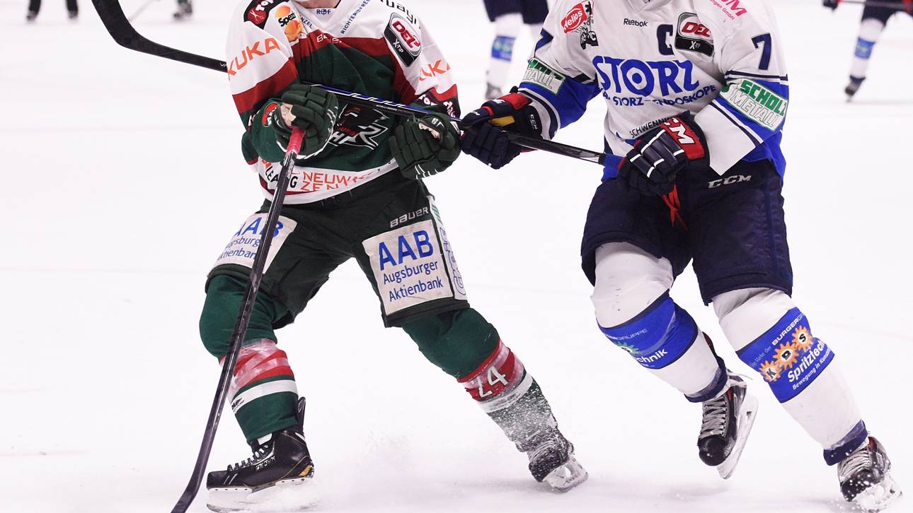 Wild Wings planen radikalen Umbruch