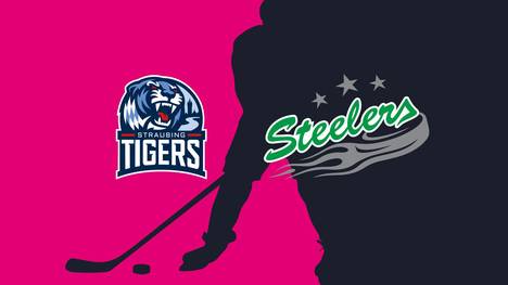 Straubing Tigers - Bietigheim Steelers: Tore und Highlights | PENNY DEL