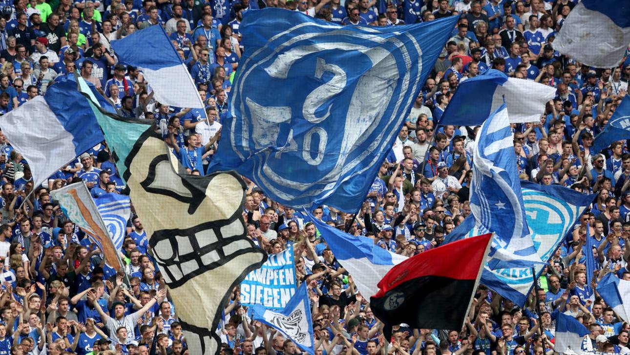 VAR: S04-Fan erstattet Anzeige
