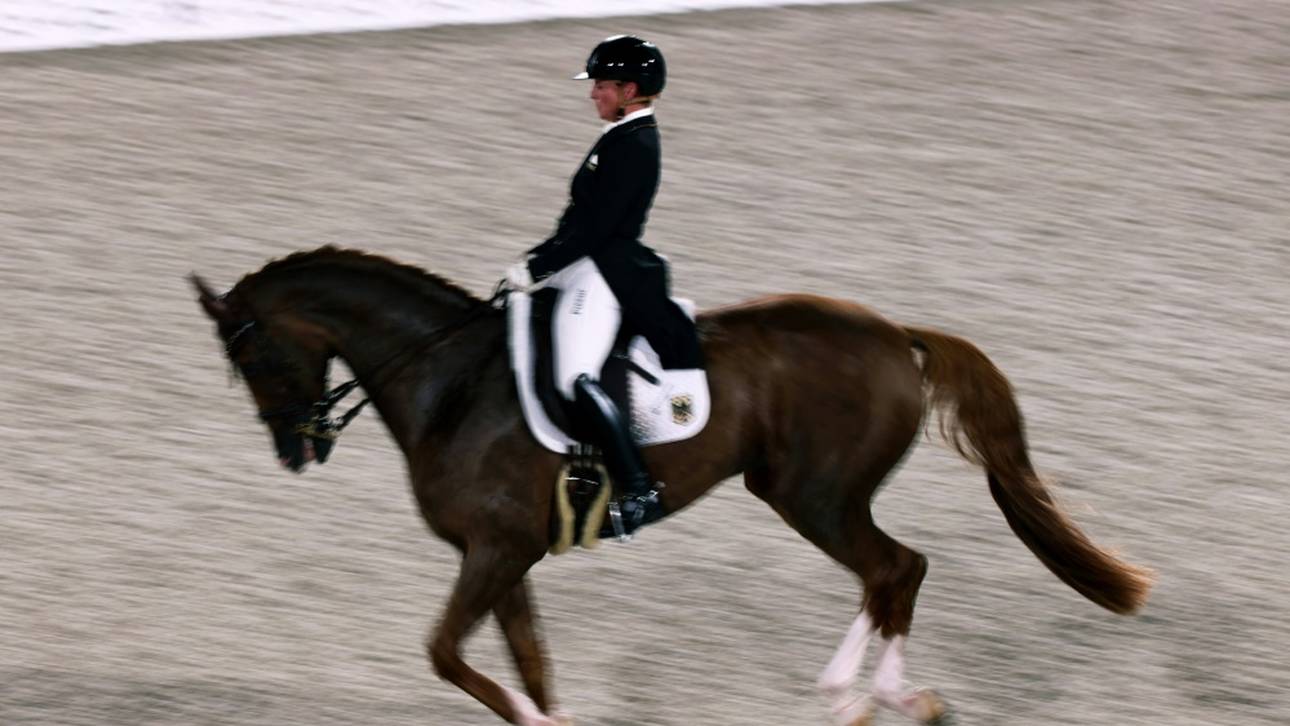 Dressur-WM: Deutsche Pferde bestehen den Vet-Check