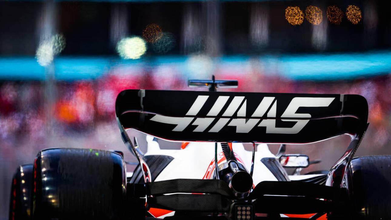 Haas mit emotionaler Botschaft