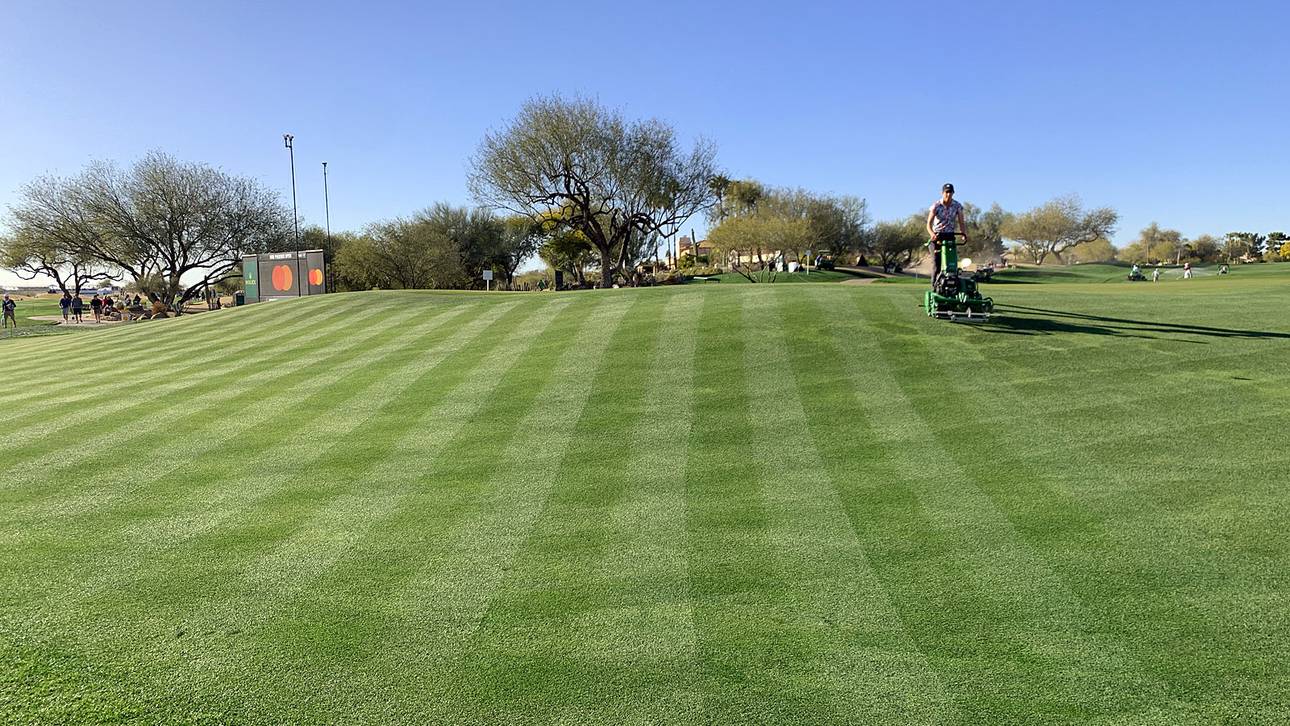 Ordnung muss sein: Akkurat wird bei den WM Phoenix Open der Rasen gepflegt