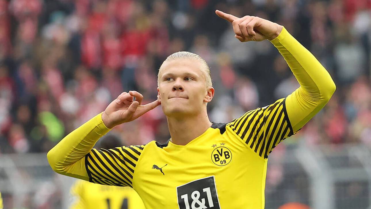 Dieser Elf schenkt Rose das Vertrauen