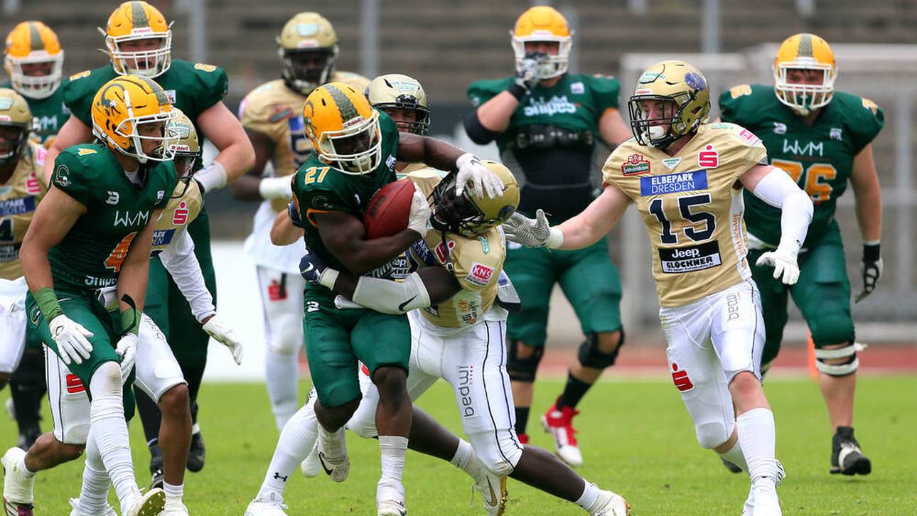 Dresden Monarchs glückt Revanche