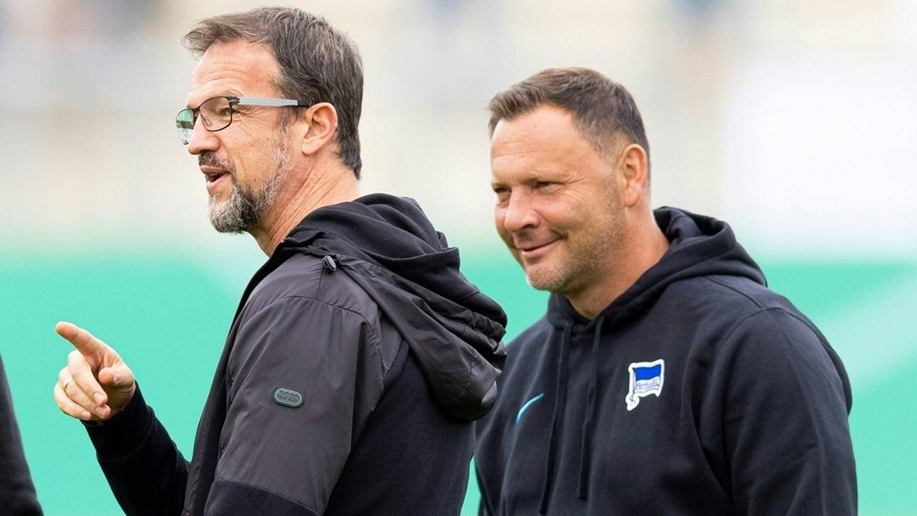 Bobic: „Pal hat gemerkt: Er hätte eigentlich fliegen müssen“