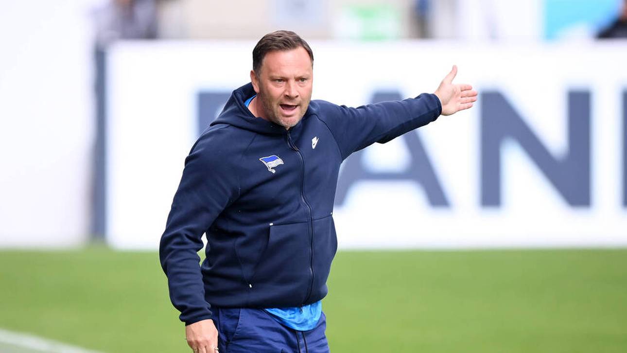 Die Wahrheit über die Dardai-Klausel