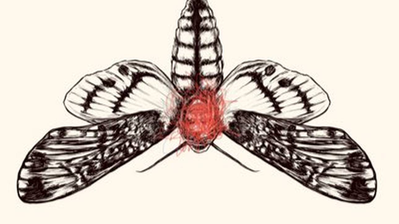 Ist das der Vorbote eines WWE-Hammers?