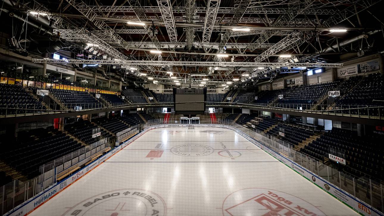 Das Konzept der Task Force Eishockey