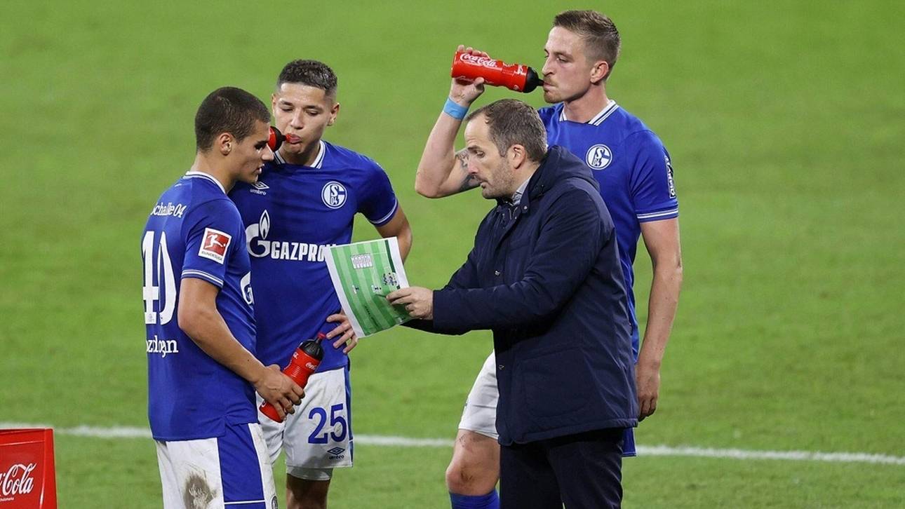 Baum bei S04 „wahnsinnig überzeugt“