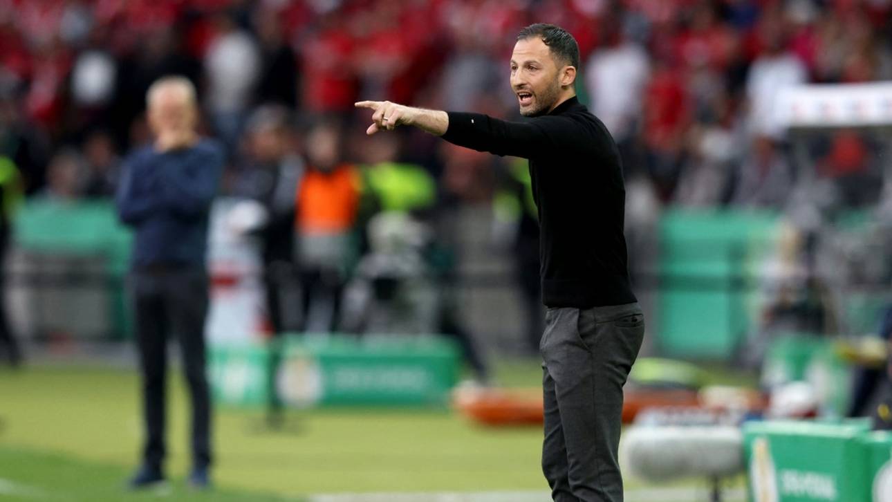 So denkt Pfaff über Tedesco-Verpflichtung