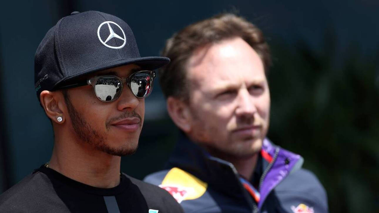 Horner: Hamilton-Theorien „weltfremd“