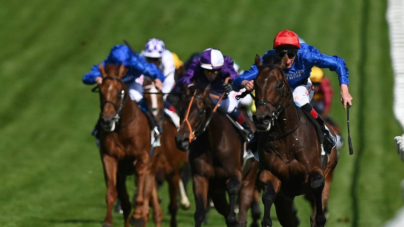 Torquator Tasso Galopper des Jahres