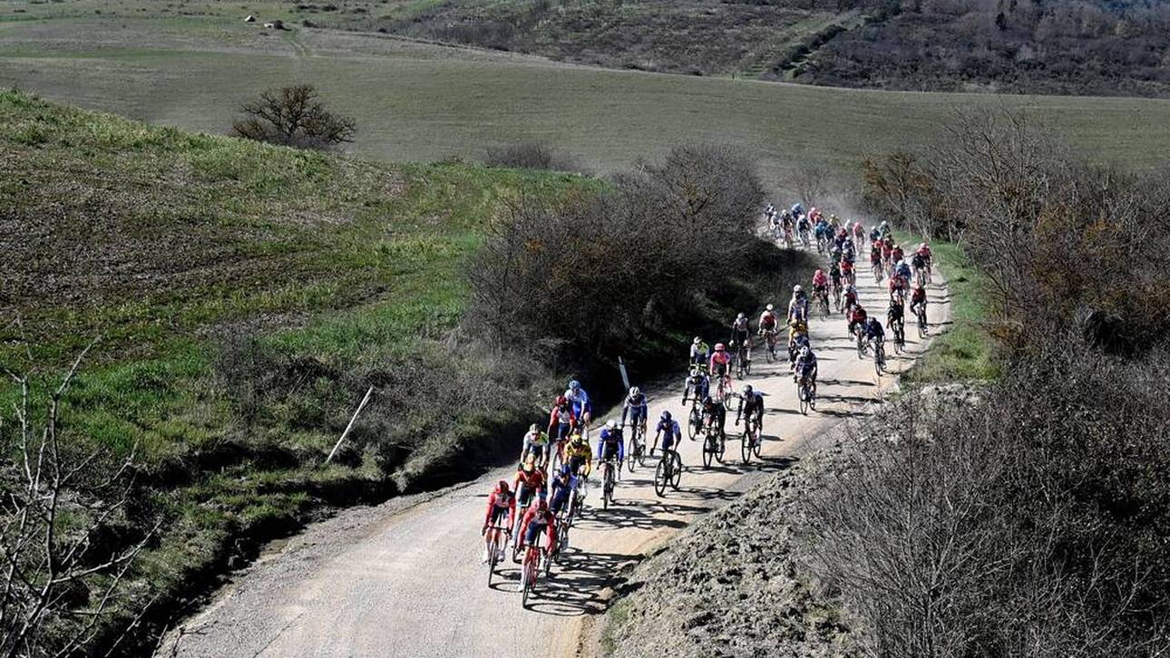 Pferd sorgt für irren Schreck-Moment