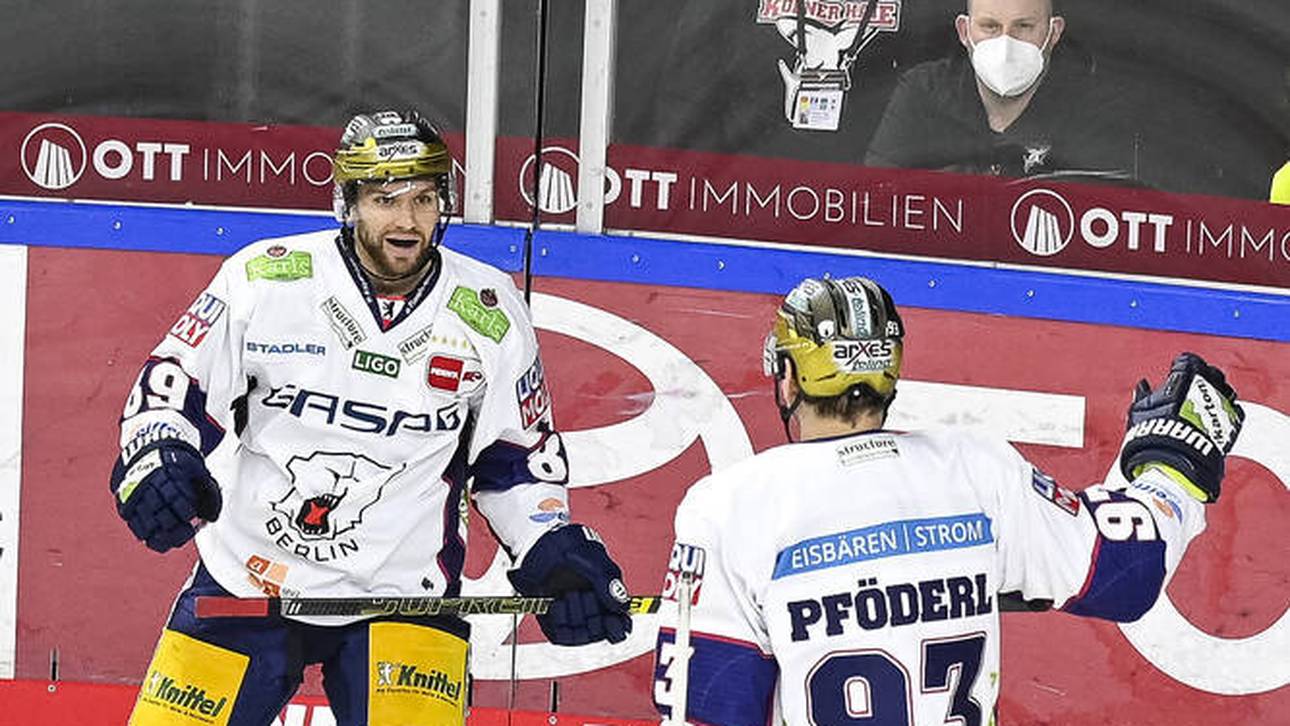 Rekord-Eisbären zerlegen auch Haie