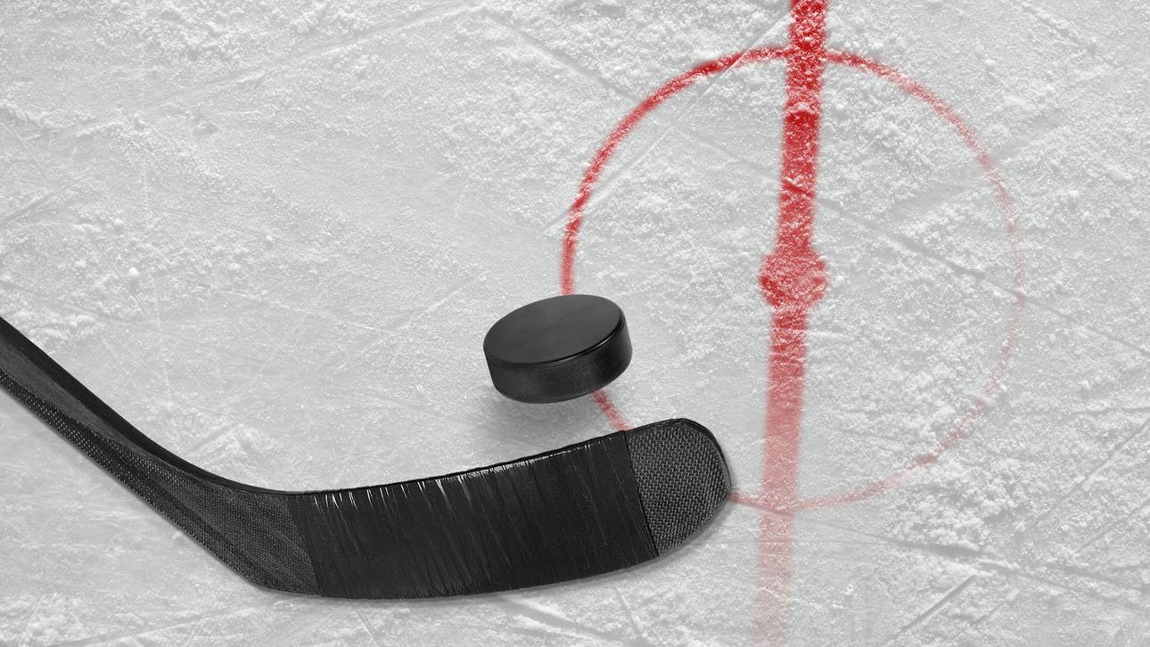 Ist das der Eishockey-Boden der Zukunft?