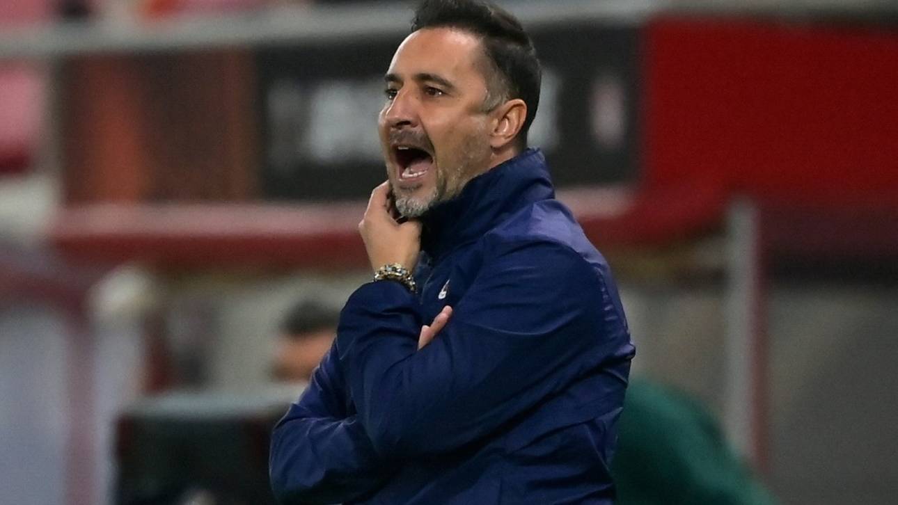 Özil-Klub Fenerbahce entlässt Trainer