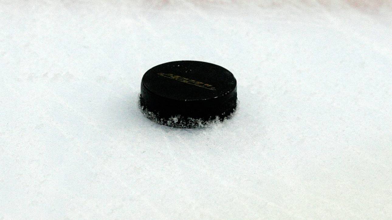 DEL: Augsburg holt Angreifer Nehring