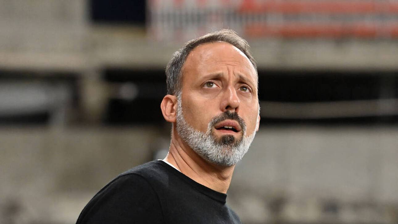 Hoffenheim findet neuen Trainer