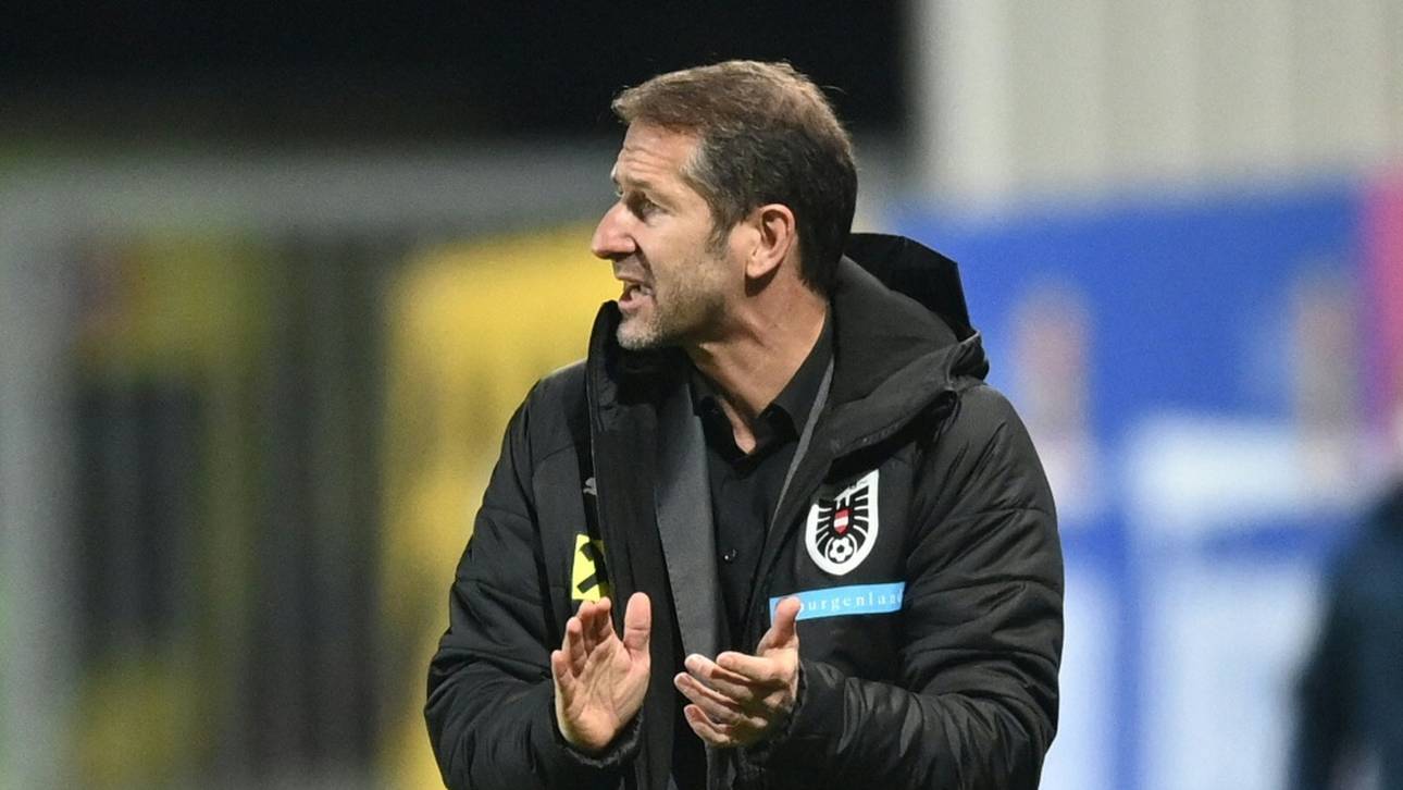 Österreich mit 22 Bundesligaprofis