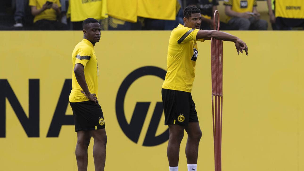 Dieser Spieler soll Haller ersetzen