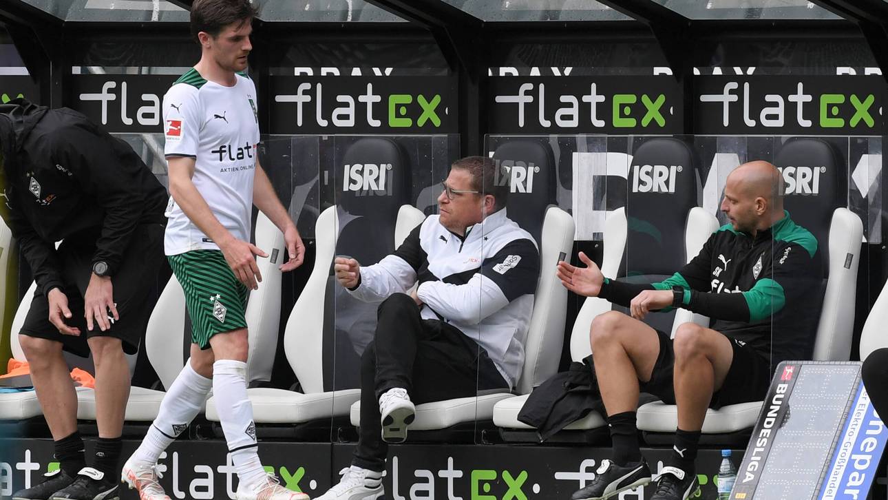 Fohlen-Star: „Erschütternd für Verein“