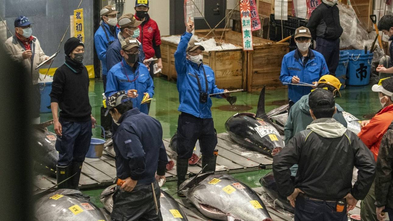 Tokio: Ehemaliger Fischmarkt wird zum Impfzentrum