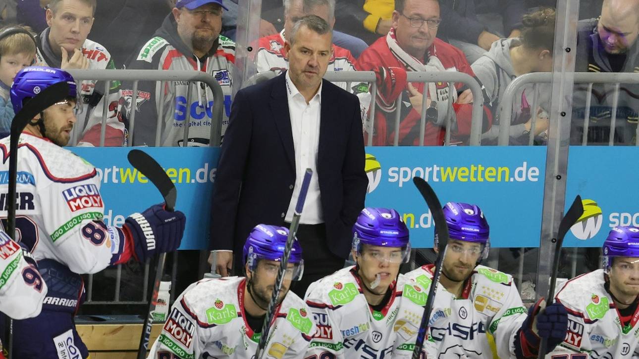 Eisbären-Krise immer dramatischer