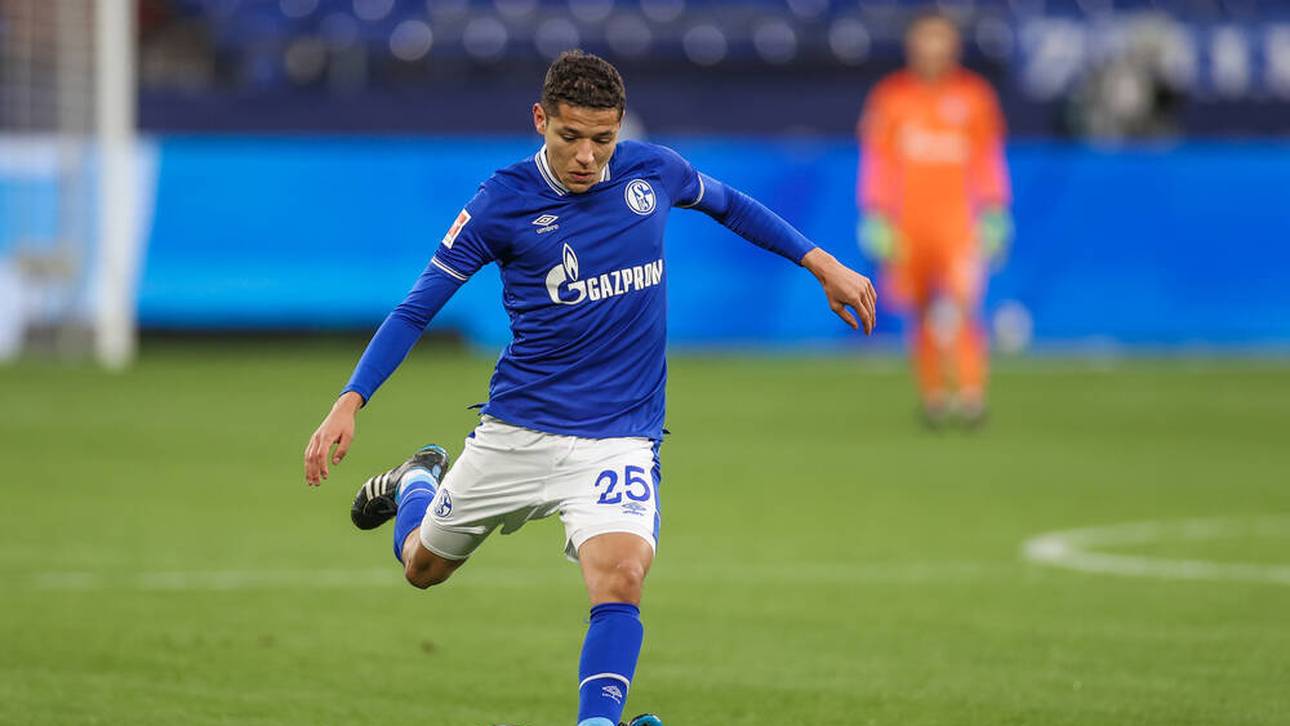 Darum setzt Baum wieder auf Harit