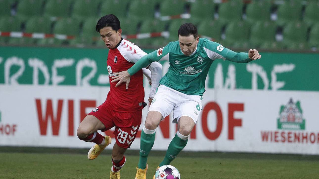 Kein Sieger im Duell der Trainer-Dinos