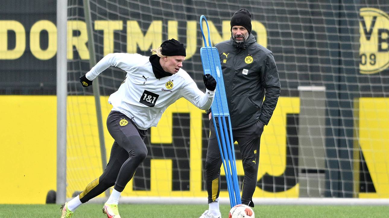 Rose klärt auf: So steht‘s um Haaland