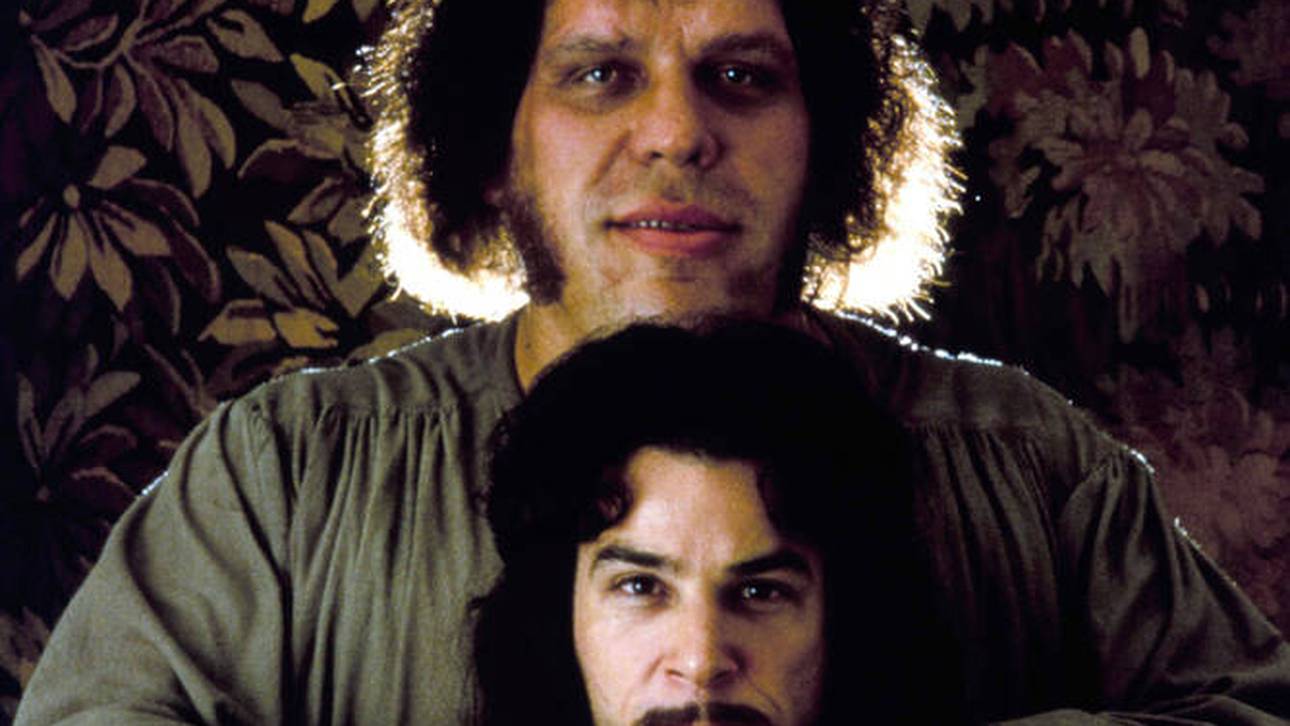 Tragisches Ende eines sanften Riesen