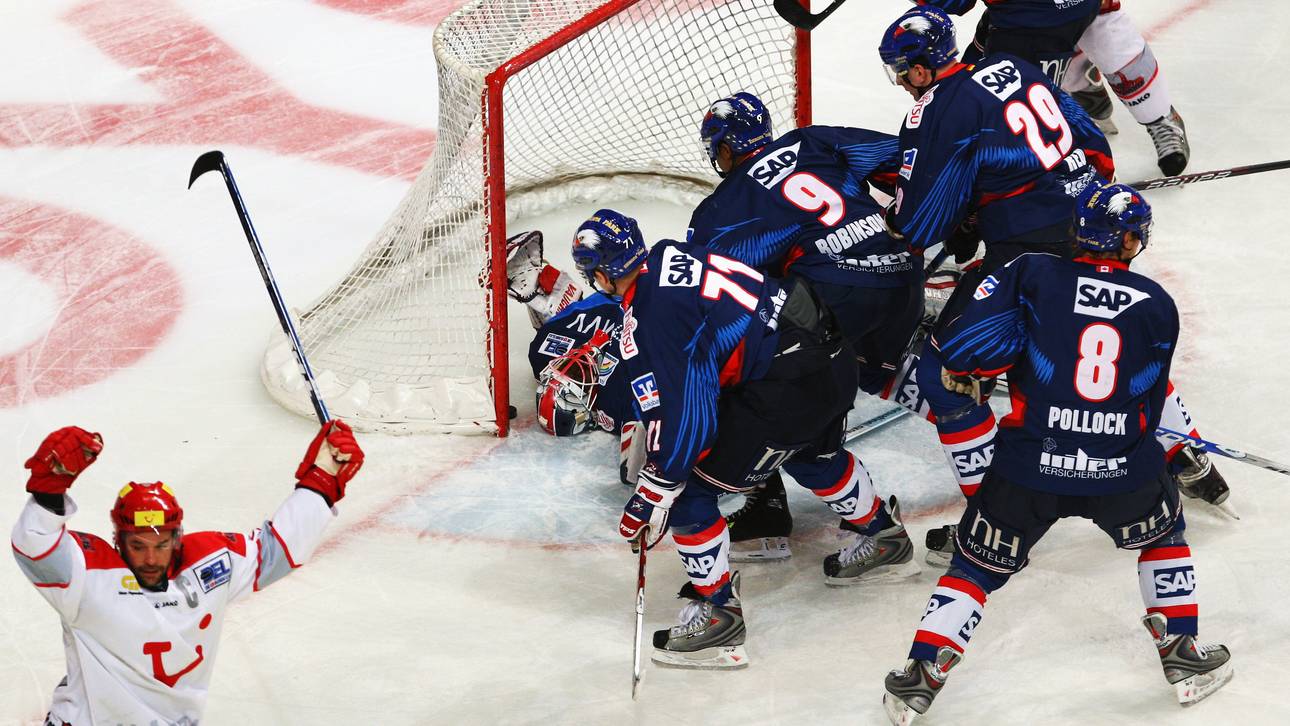 DEL-Konzept vor Abschluss