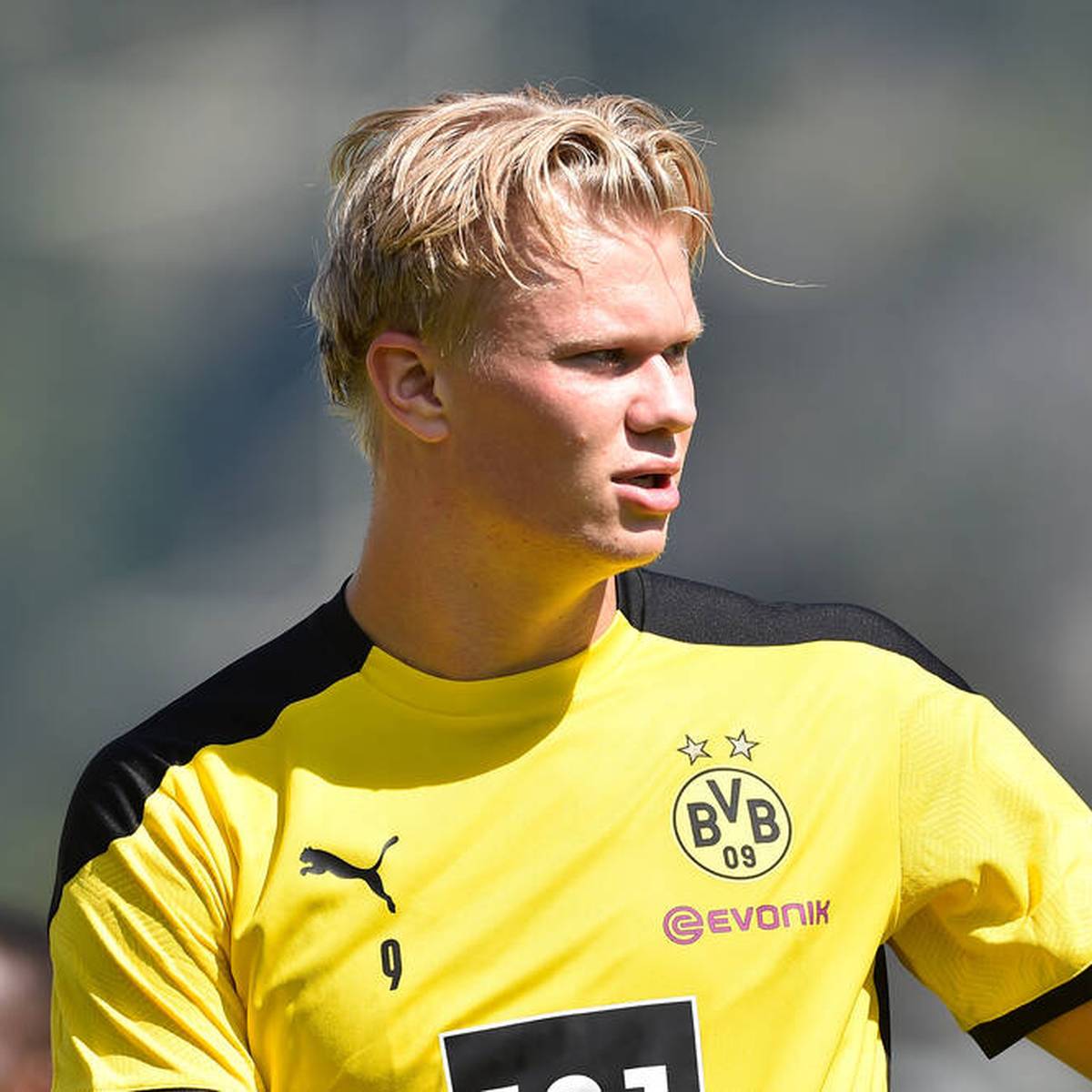 Bundesliga Testspiele Mit Bvb Monchengladbach Frankfurt Koln Hoffenheim