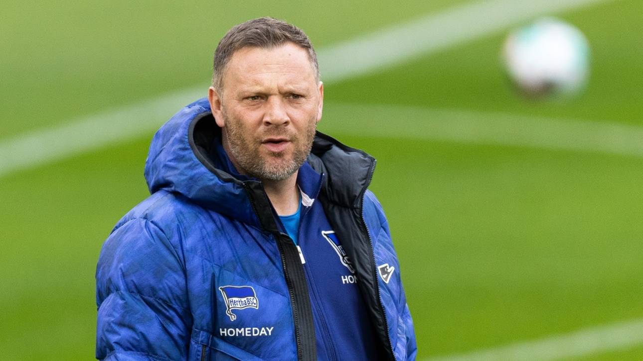 So denkt Dárdai über Bobic