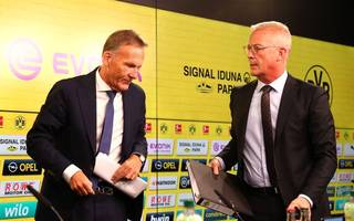 Fussball / Bundesliga