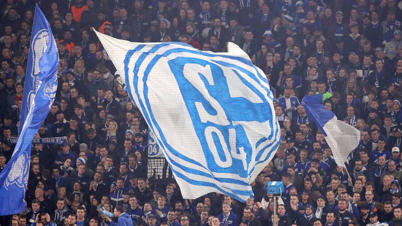 Fans reagieren auf Schalke-Appell